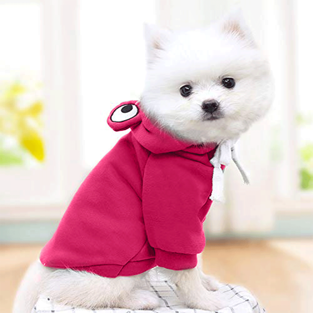 Cute Pink Froggy Dog Hoodie – Cozy Winter Wear for Pets