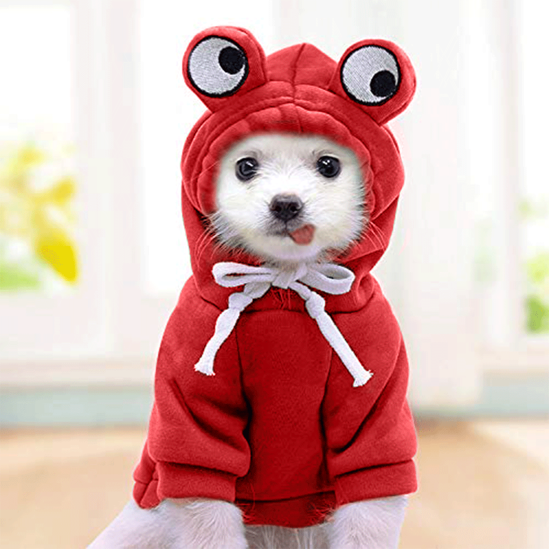 Cute Red Froggy Dog Hoodie – Cozy Winter Wear for Pets