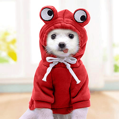 Cute Red Froggy Dog Hoodie – Cozy Winter Wear for Pets
