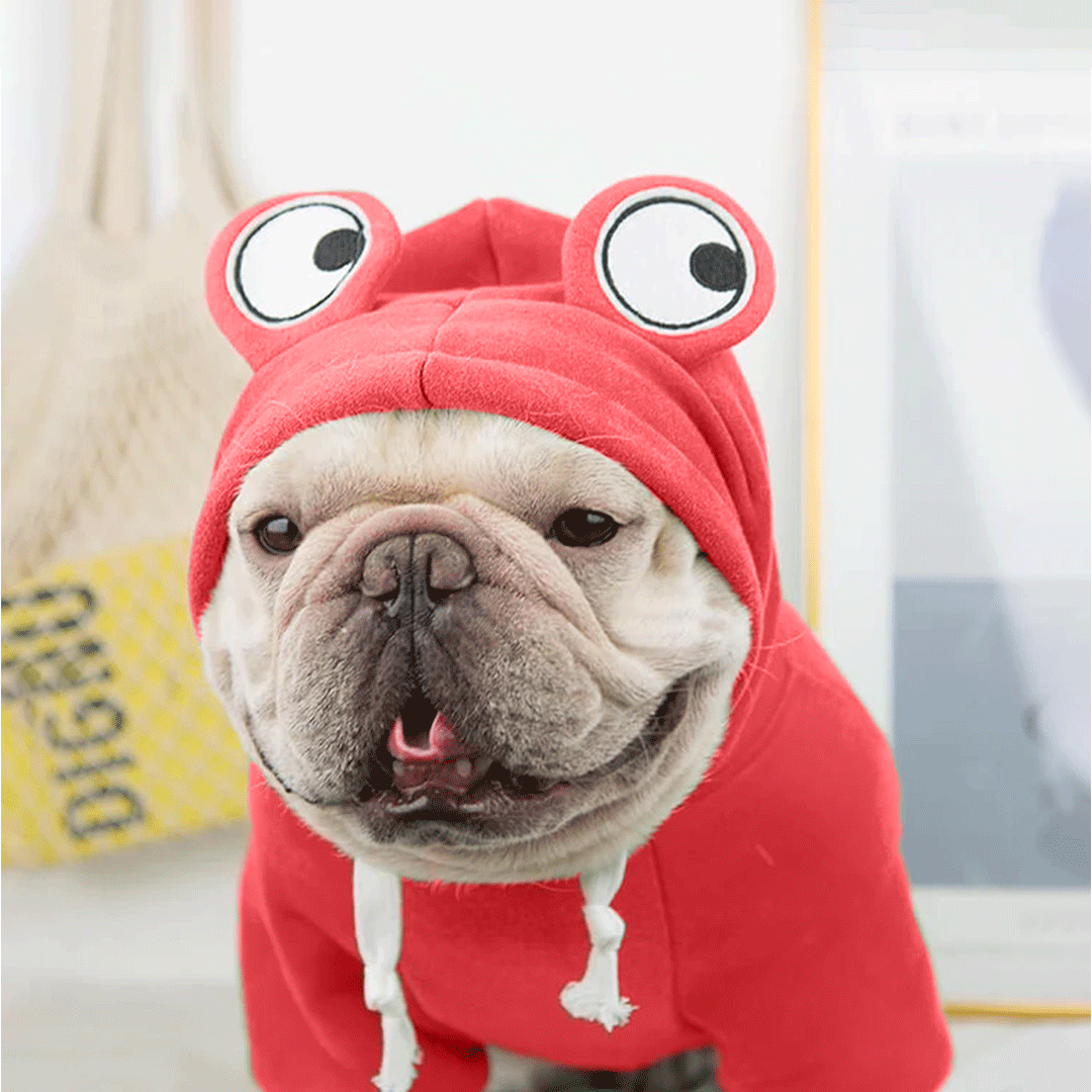 Cute Red Froggy Dog Hoodie – Cozy Winter Wear for Pets