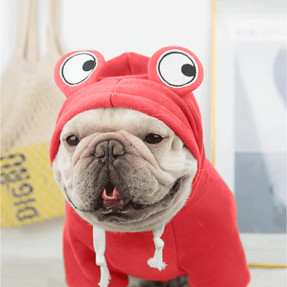 Cute Red Froggy Dog Hoodie – Cozy Winter Wear for Pets