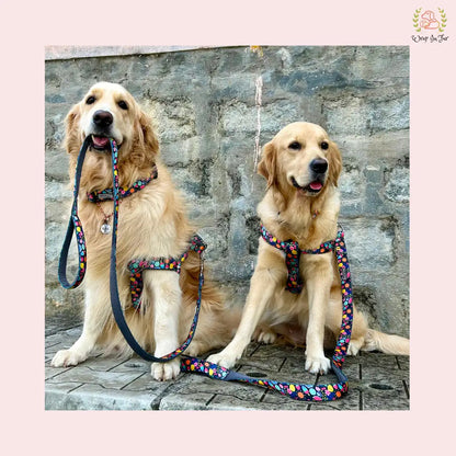 Cute garden dog harness leash for big dog