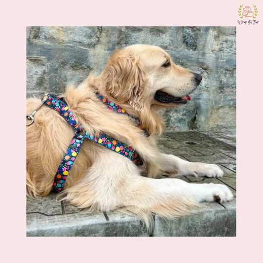 Cute Garden Dog Harness with leash for Golden Retriever