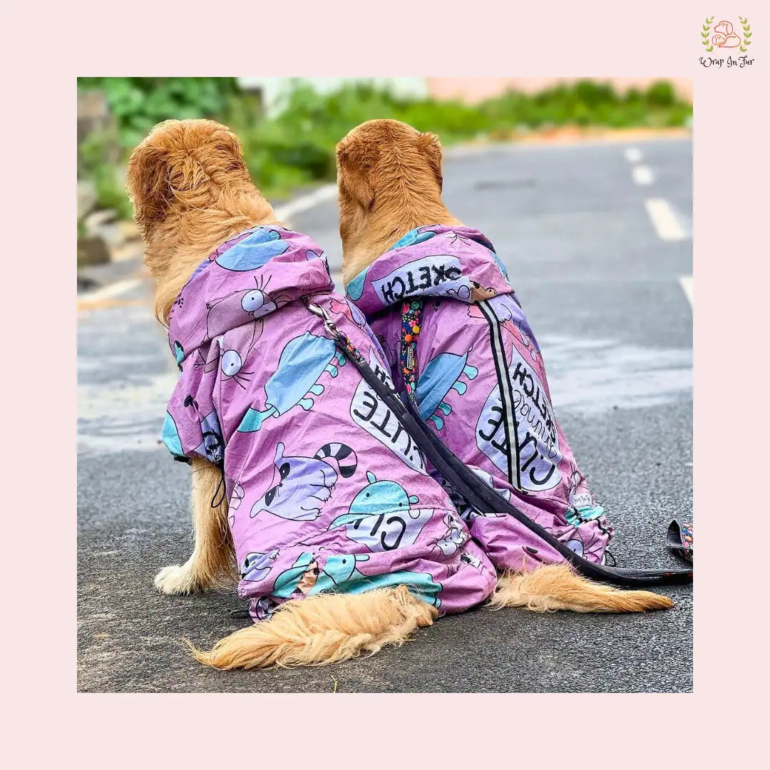 Cute Dog Raincoat for Golden Retriever