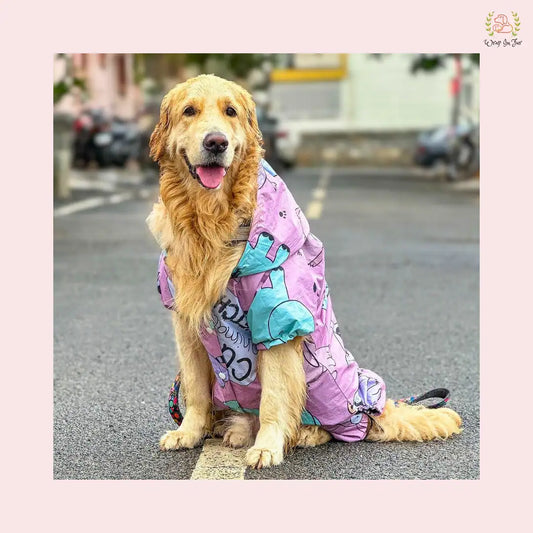 Cute Dog Raincoat