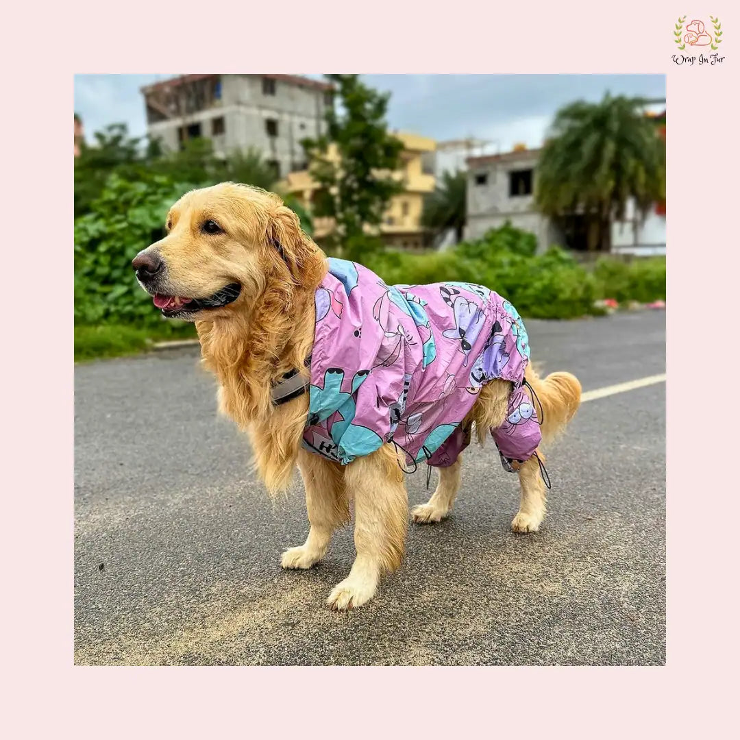 Purple Cute Dog Raincoat