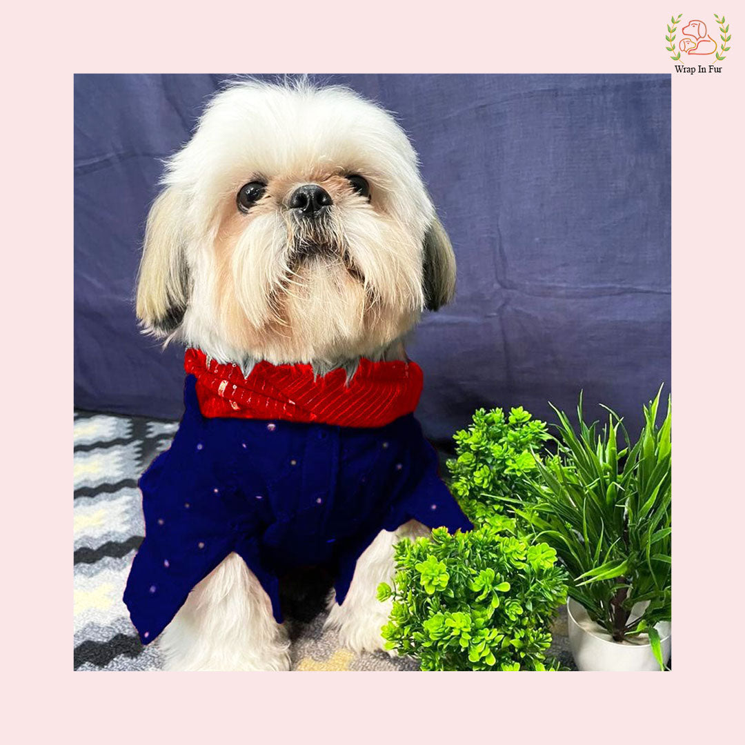 Dark Blue Dog Kurta With Dupatta for small dog