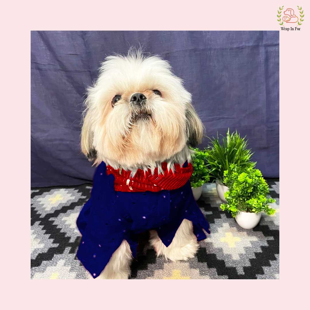 Dark Blue Mirror Work Dog Kurta with Red Dupatta - Indian Ethnic Wear