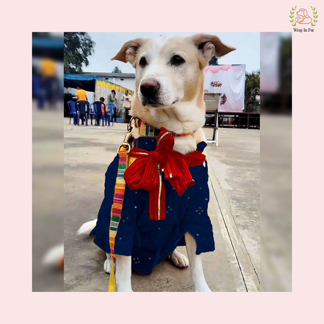 Dark Blue Mirror Work Dog Kurta with Red Dupatta - Indian Ethnic Wear