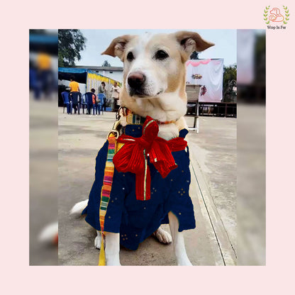 Dark Blue Mirror Work Dog Kurta with Red Dupatta - Indian Ethnic Wear