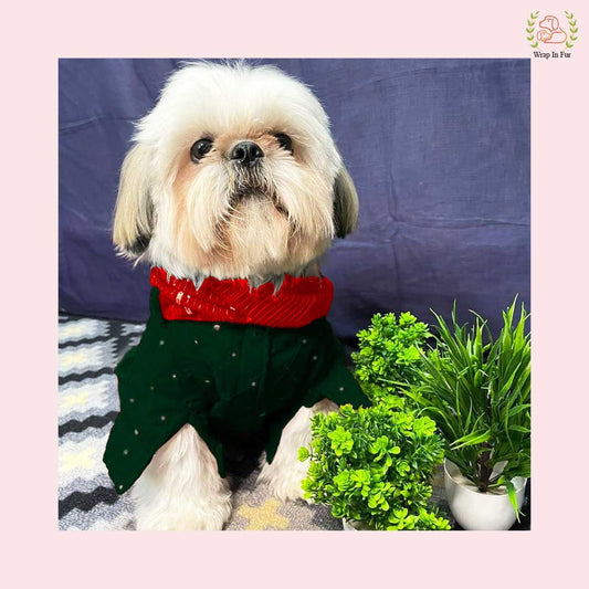 Dark Green Mirror Work Dog Kurta with Royal Blue Dupatta - Ethnic Wear