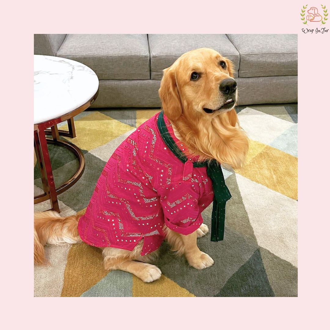 Dark Pink Embroidered Dog Kurta with Green Dupatta - Indian Ethnic Wear