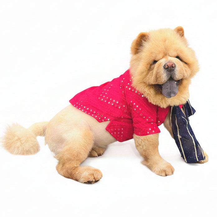 Dark Pink Embroidered Dog Kurta with Green Dupatta - Indian Ethnic Wear