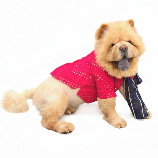 Dark Pink Embroidered Dog Kurta with Green Dupatta - Indian Ethnic Wear