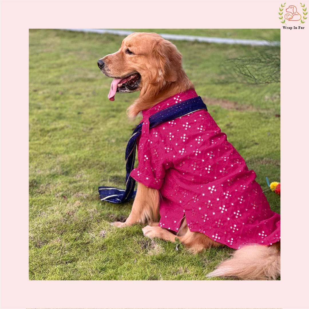 Dark Pink Embroidered Dog Kurta with Green Dupatta - Indian Ethnic Wear