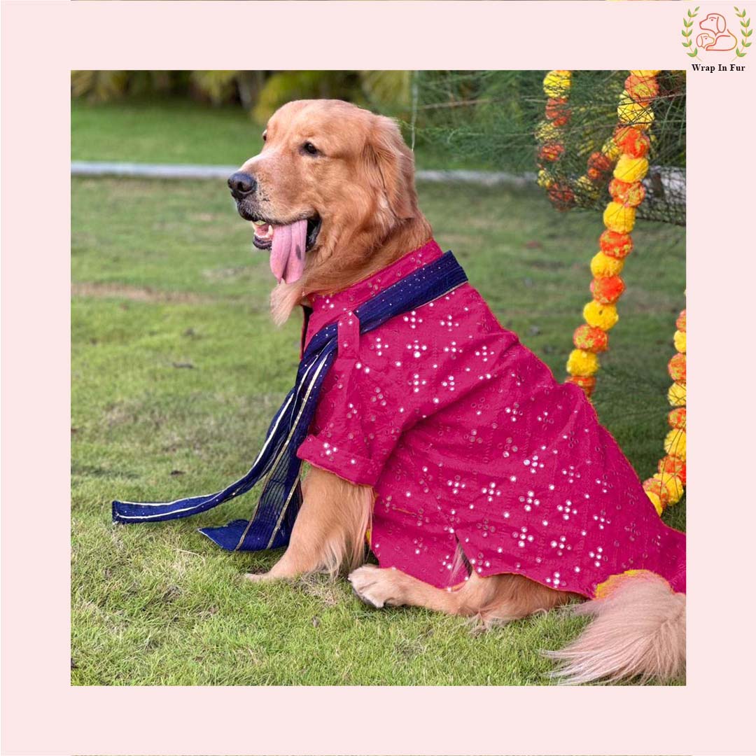 Dark Pink Embroidered Dog Kurta with Green Dupatta - Indian Ethnic Wear