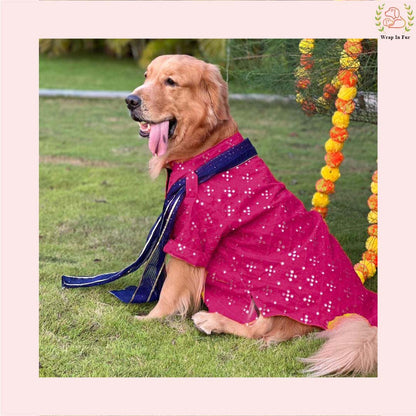 Dark Pink Embroidered Dog Kurta with Green Dupatta - Indian Ethnic Wear