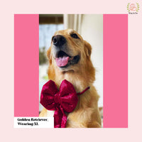 Dark Pink Sequin Dog Bow - Sparkly Holiday Pet Hair Bow Accessory