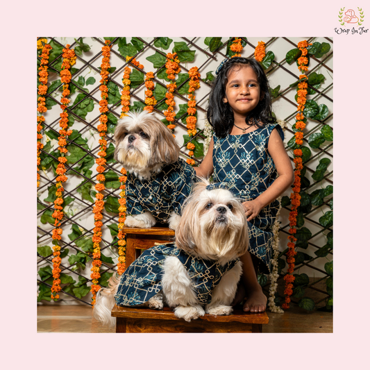 Blue Gota Twinning Set ( Dog Frock or Kurta along with Girl Frock )