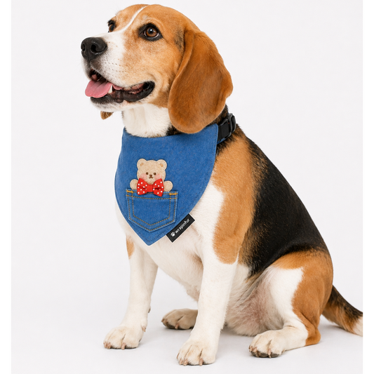 Denim Teddy Dog Bandana