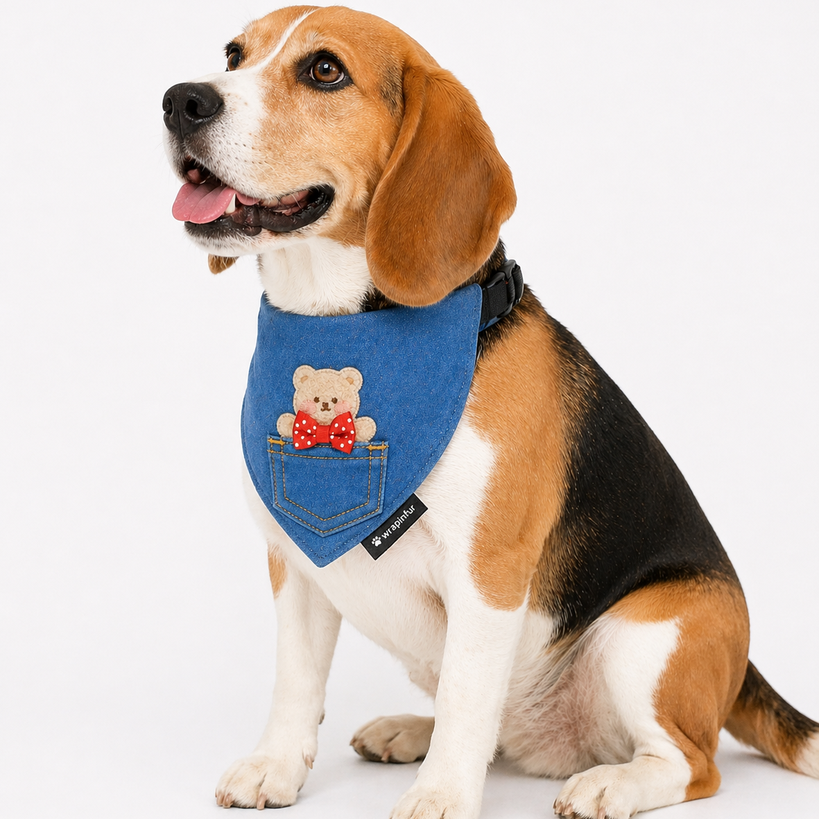  Dog Bandana