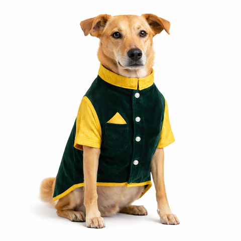 Desi Green & Yellow Dog sherwani Jacket Set