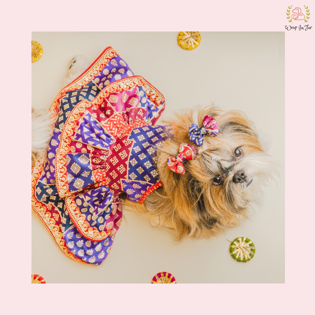 Desi Wedding Dog Dress – Ethnic Dog Bridal Outfit for Functions