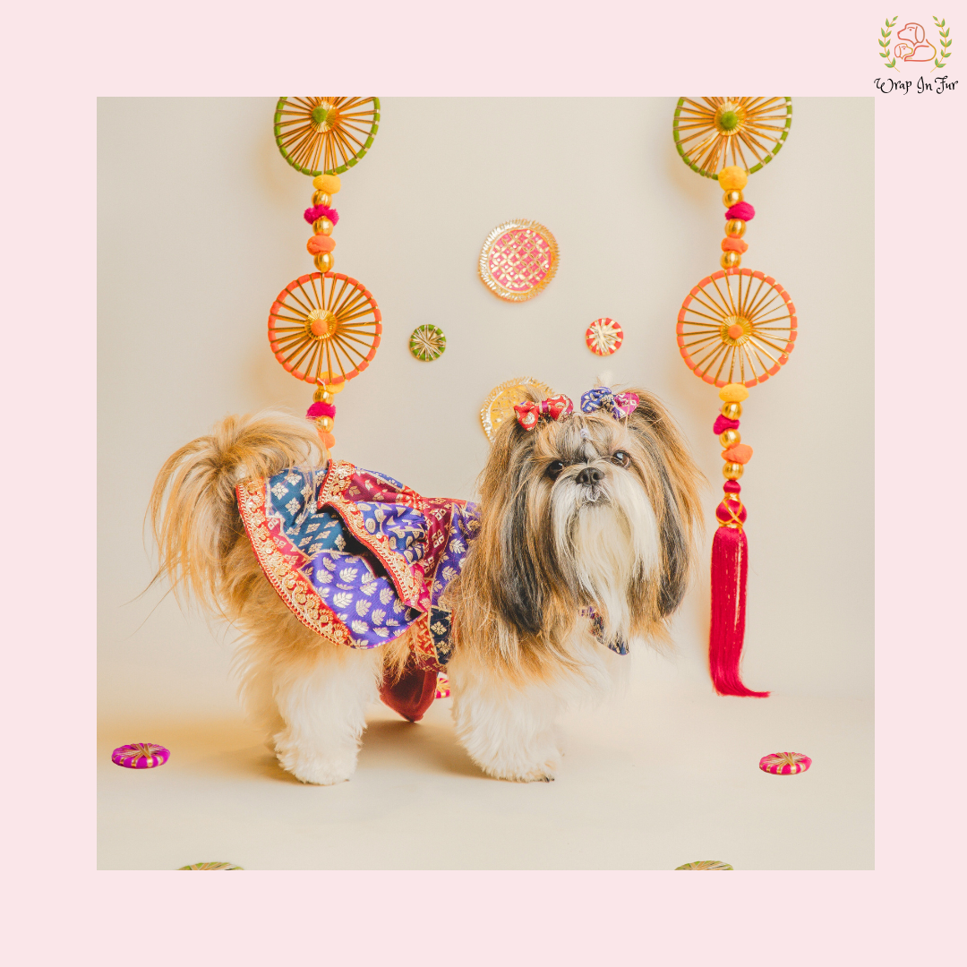 Desi Wedding Dog Dress – Ethnic Dog Bridal Outfit for Functions