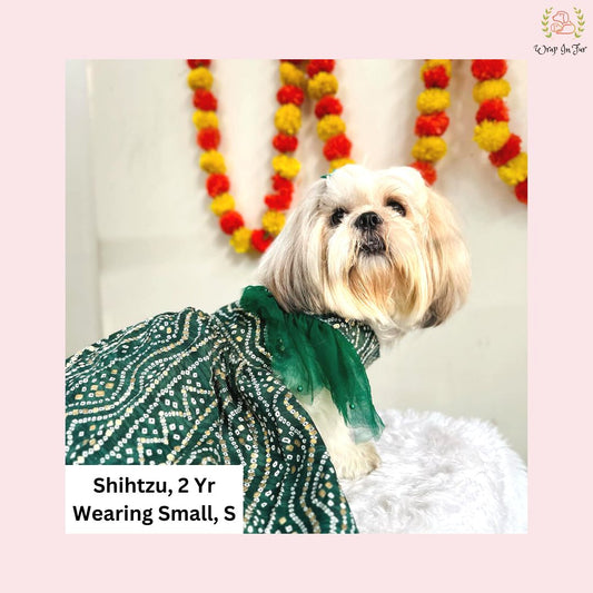 Designer Green Bandhani Dog Wedding Frock – Pet Bridal Wear
