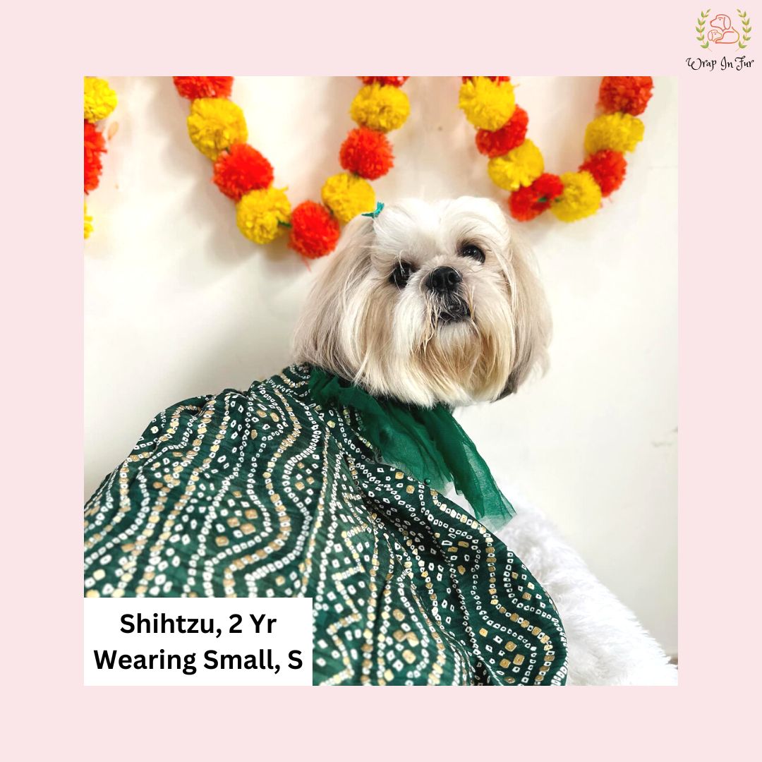 Designer Green Bandhani Dog Wedding Frock – Pet Bridal Wear