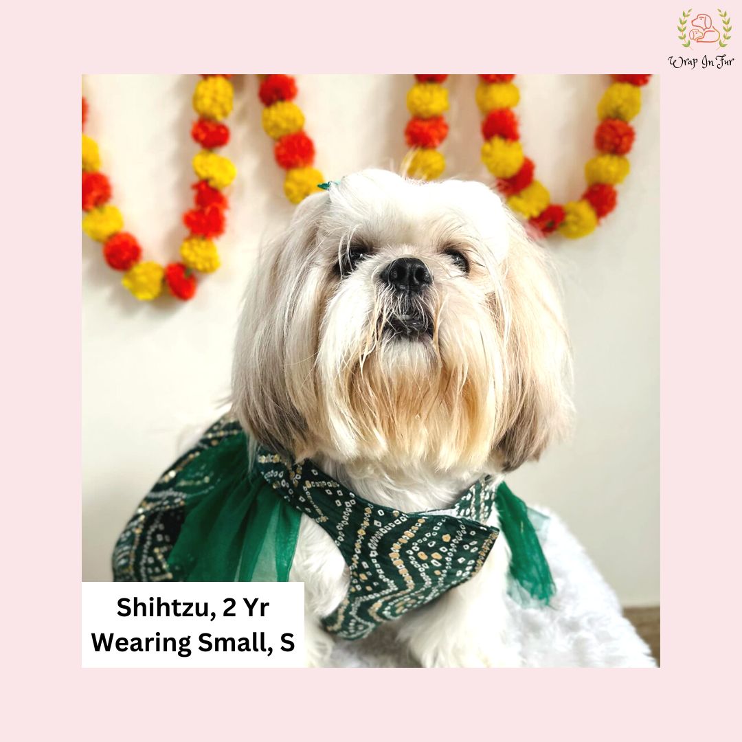 Designer Green Bandhani Dog Wedding Frock – Pet Bridal Wear