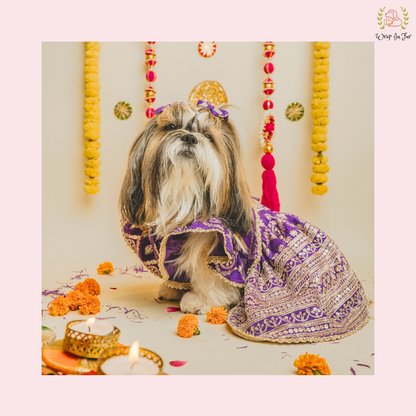 Designer Purple Mastani Dog Lehenga Choli | Premium Ethnic Outfit for Weddings & Festivals 