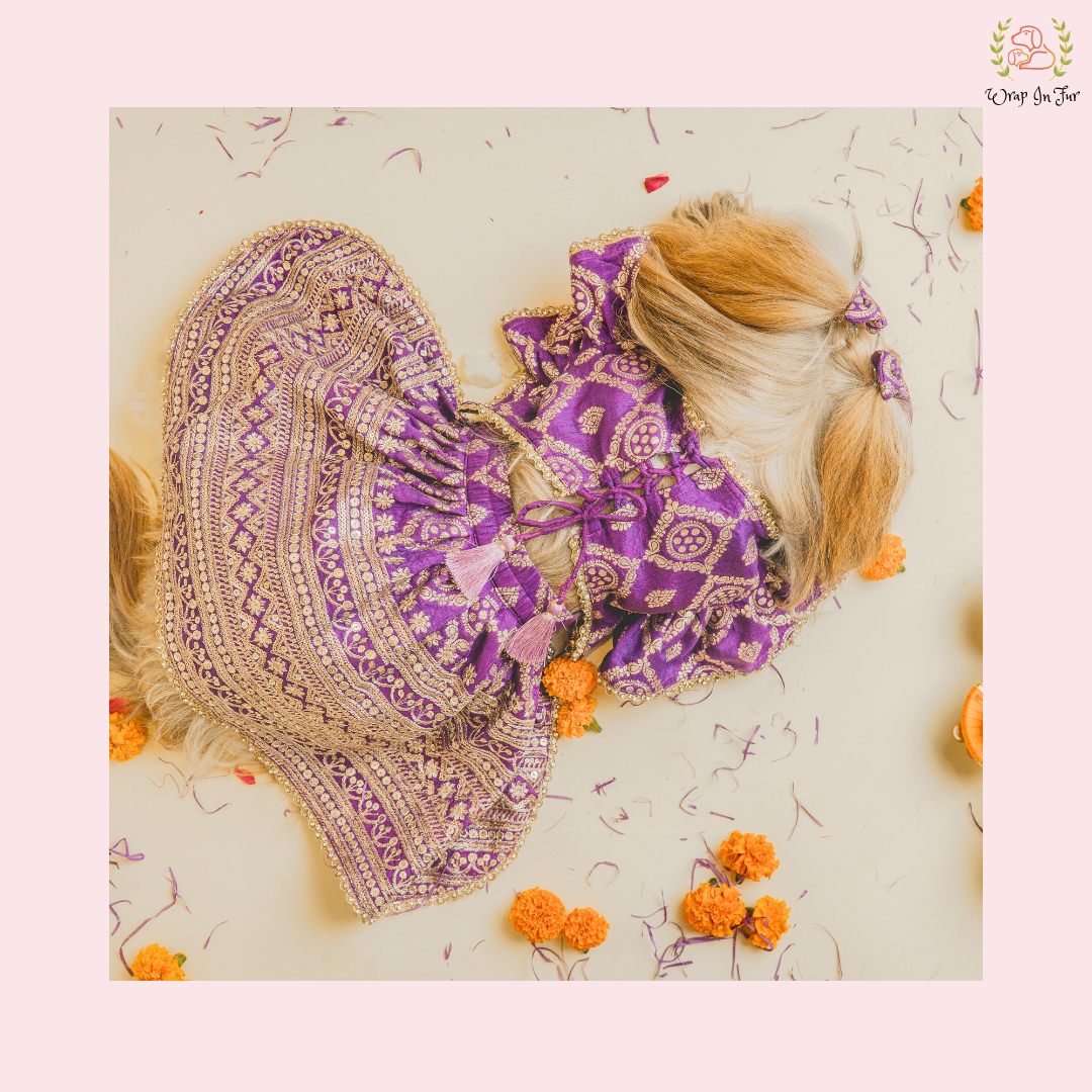 Designer Purple Mastani Dog Lehenga Choli | Premium Ethnic Outfit for Weddings & Festivals