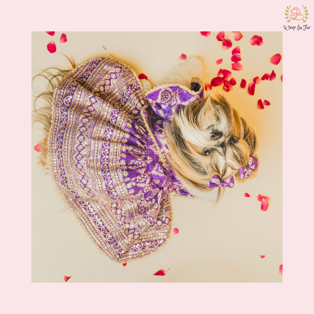 Designer Purple Mastani Dog Lehenga Choli | Premium Ethnic Outfit for Weddings & Festivals