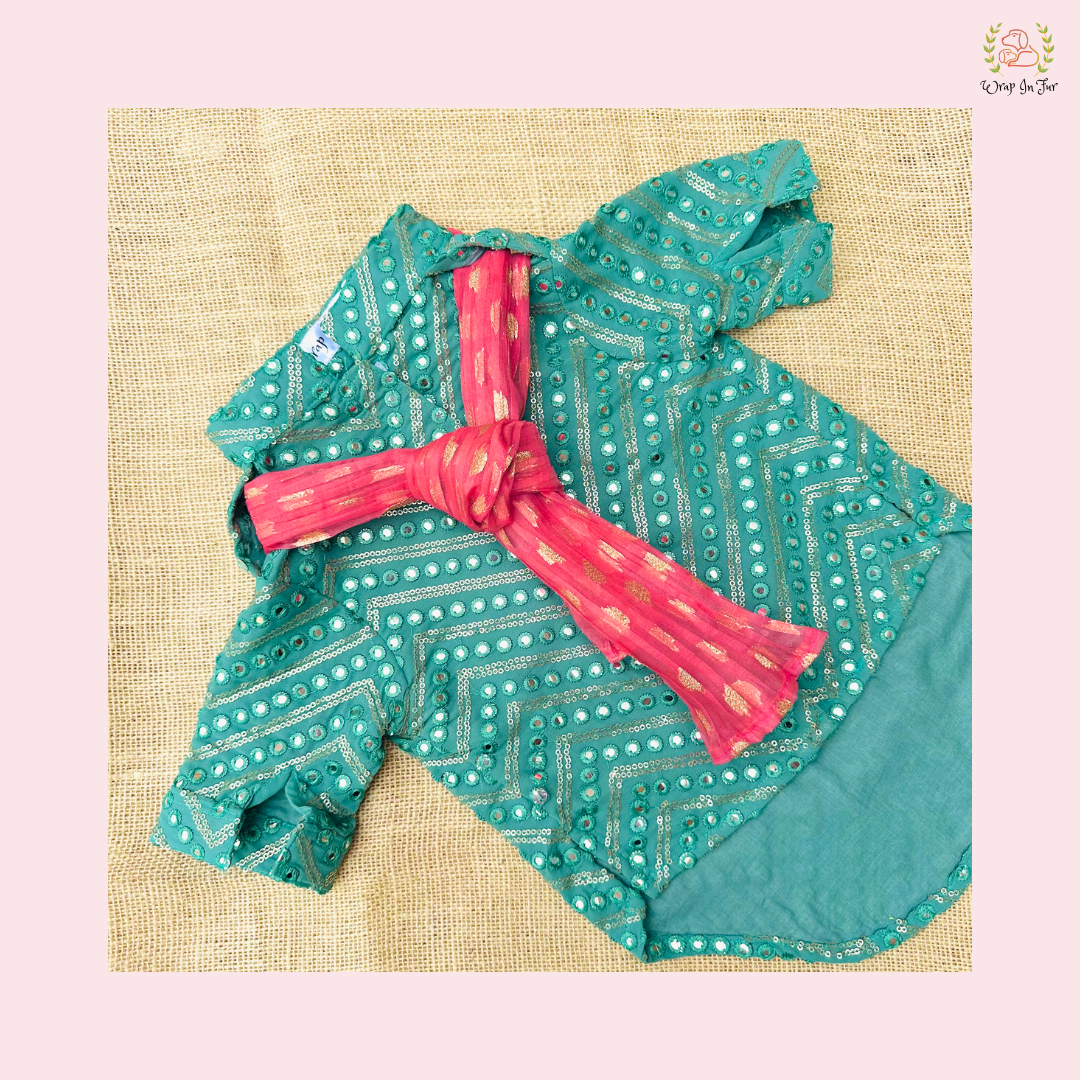 Aqua Green Dog Kurta With Dupatta