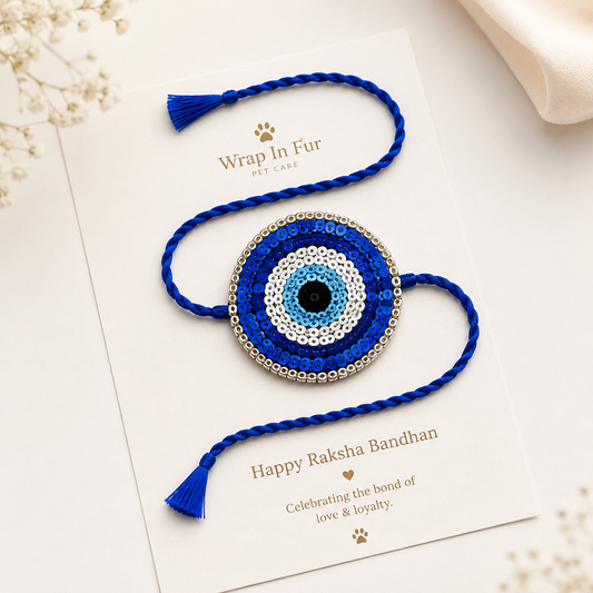 Dog Evil Eye Rakhi for Pets