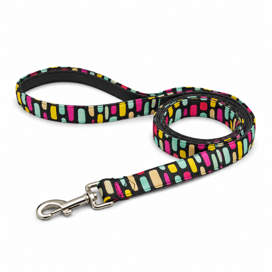 Multicolor Dog Leash