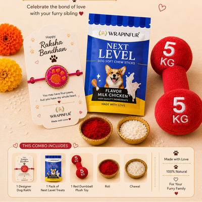 Wrapinfur Raksha Bandhan Celebration Combo for Dogs – Paw Rakhi, Treats & Plush Toy Gift Box
