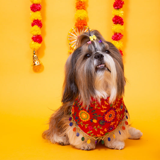 Red Phoolwari Dog Bandana