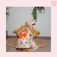 Dog Frock for Summer
