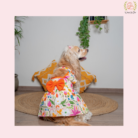Dog Frock for Summer