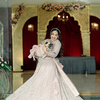 Dog Lehenga