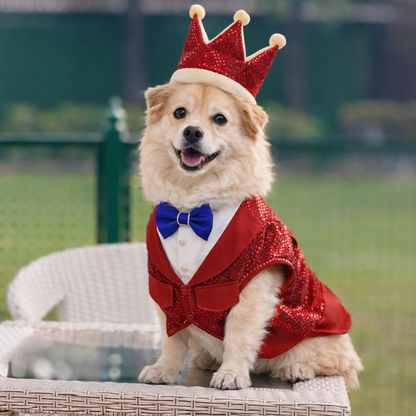 Red Sparkle Dog Tuxedo Dress – Stylish Dog Wedding Clothes