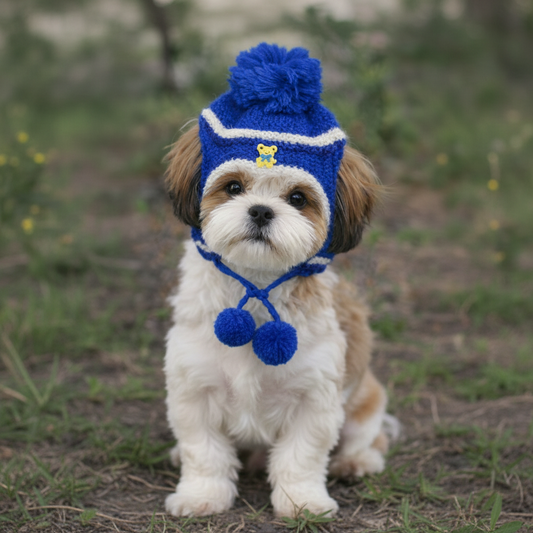 Dog Winter Cap