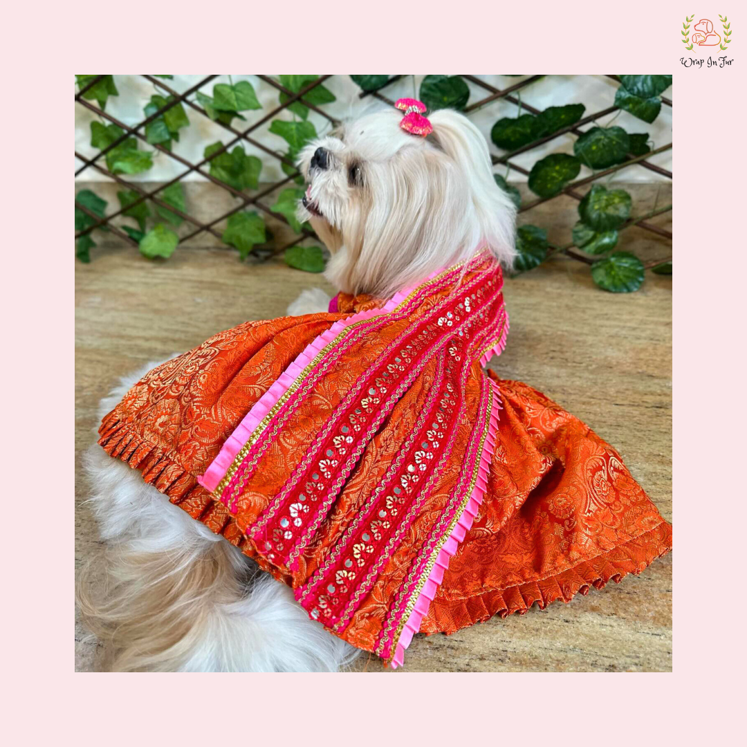 Orange pink Saree