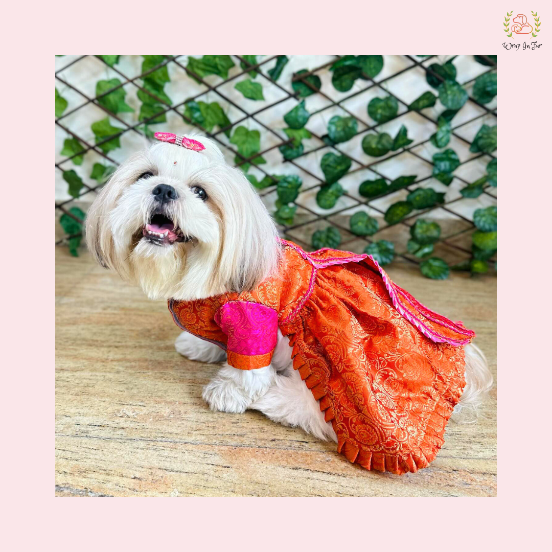 Orange pink Saree