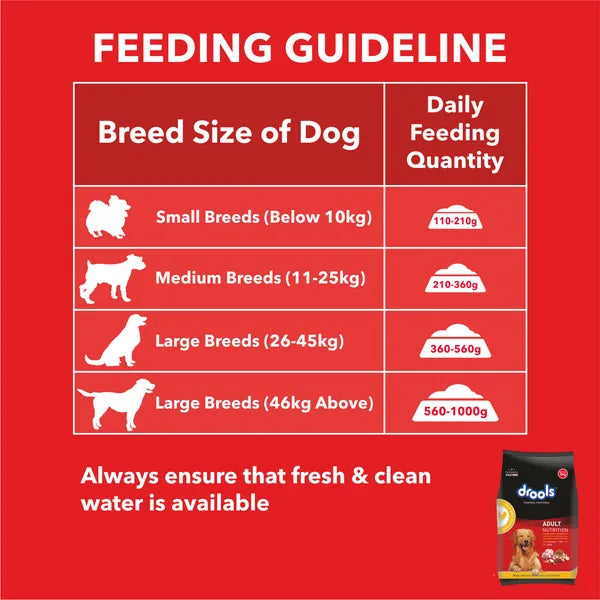 Drools Adult Chicken and Egg Dry Dog Food