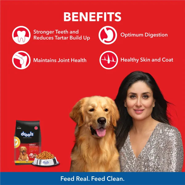 Drools Adult Chicken and Egg Dry Dog Food
