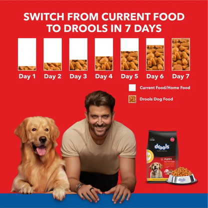 Drools Chicken & Egg Dry Food for Puppies