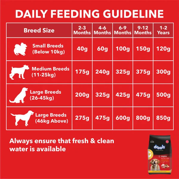 Drools Chicken & Egg Dry Food for Puppies